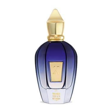 Xerjoff More Than Words Perfume for Unisex