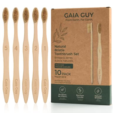 10 Natural Boar Bristle Bamboo Toothbrushes with 2 Diatomite Toothbrush Holders | Plastic-Free Oral Care Set