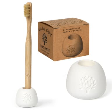 Bamboo & Boar Bristle Toothbrush 6-Pack with Round Diatomite Holder (Leak-Proof)