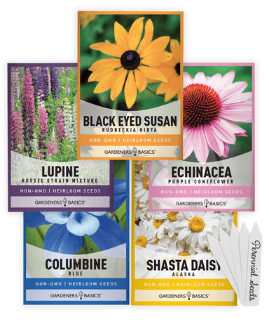 Perennial Flower Seeds for Planting | 5 Variety Pack