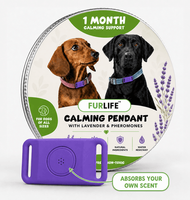 FurLife™ Imprint - Relax and Calming Pheromone Pendant