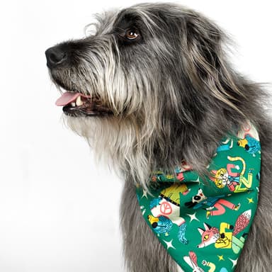 Bandana - Sock Hop