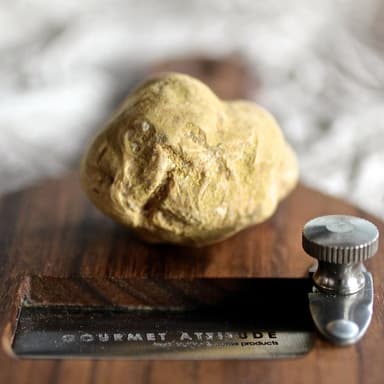 Fresh White Truffles (Italy) - Tuber Magnatum Pico