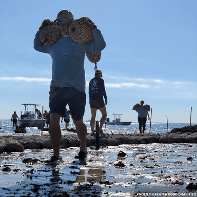 Restore Destroyed Shorelines & Coastal Habitats