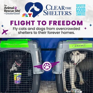 Help Clear the Shelters by Flying Pets to Freedom