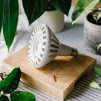 Pianta 30 LED Pflanzenlampe Leuchtmittel