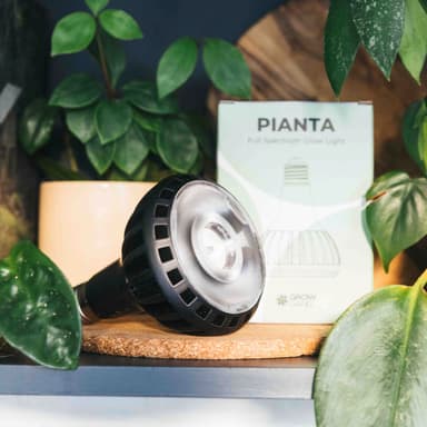 Pianta LED Pflanzenlampe: Schwarz