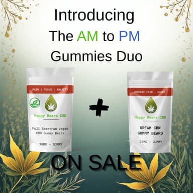 AM to PM Gummy Duo
