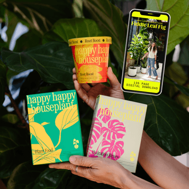 Fiddle Leaf Fig Essentials Bundle