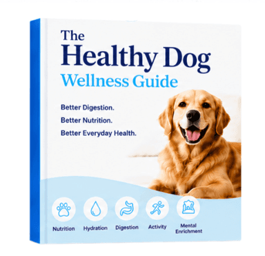 🎁 Subscriber Gift: Dog Wellness (E-Book)