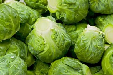Catskill Brussel Sprouts Seeds - Heirloom