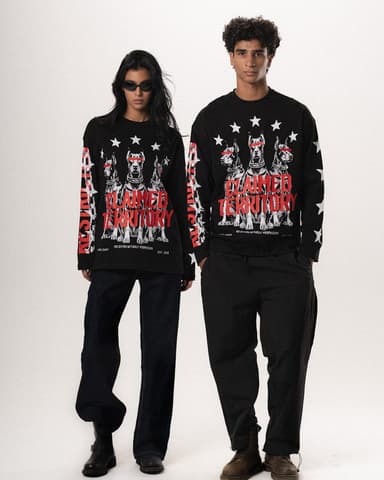 Claimed Territory Oversized Long Sleeves
