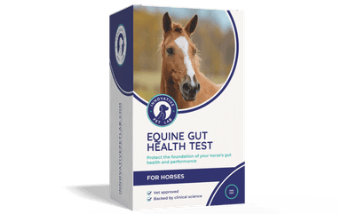 Equine Gut Health Test for Horses