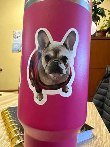 Custom Kiss Cut Sticker