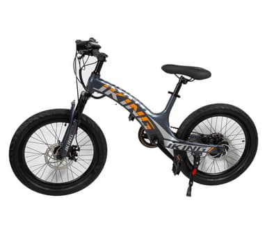 C8 E-bike for Teens