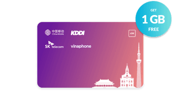 Norm Lifetime Prepaid Data eSIM