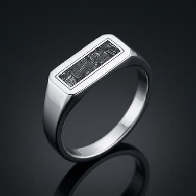 Inlay Bar - Black Aletai Meteorite - Slim Signet Ring
