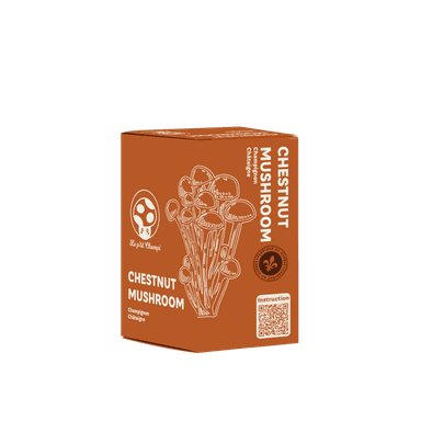 Chestnut Mushroom Kit