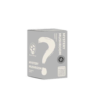 Mystery Mushroom Kit