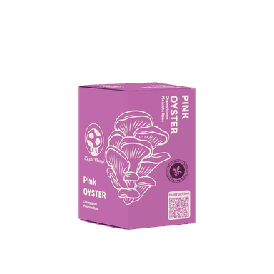 Pink Oyster Mushroom Kit