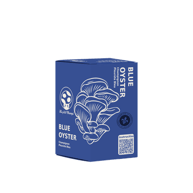 Blue Oyster Mushroom Kit