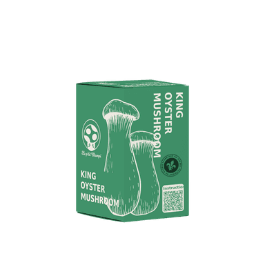 King Oyster Mushroom Kit