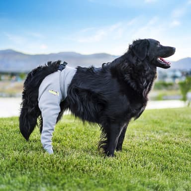 Lick Sleeve® Leg Sleeve