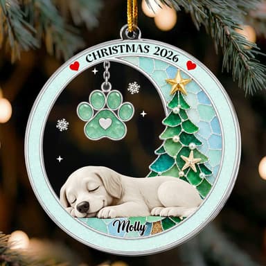 Custom Pet Name Christmas Memorial Ornament, Pet Loss Remembrance Gift, Sea Glass 3D Effect Paw Print - Personalized Ornament