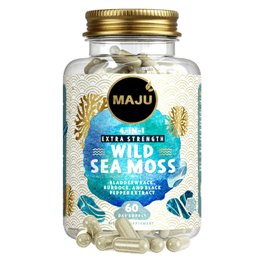 Wild Sea Moss, Raw Dried — MAJU Chondrus Crispus Whole Leaf