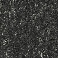 Hudsonia Carbon