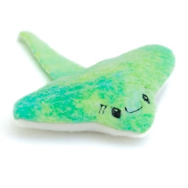 Catlantic Stingray!