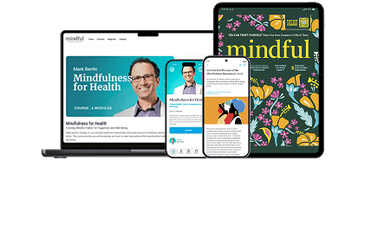 Mindful Subscription