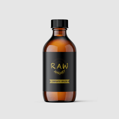 Lymphatic Spleen