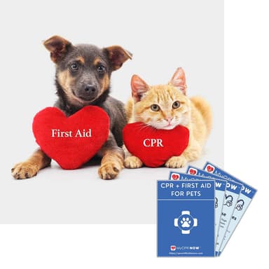 Pet CPR + First Aid Quick Reference Kit