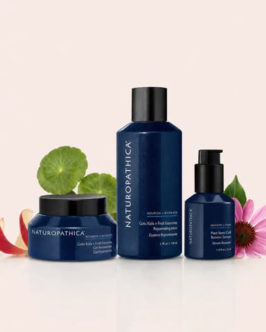 Cellular Renewal Trio
