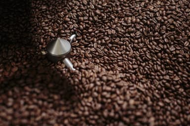 Love-All - Roasted Coffee - Sweet Spot - 10lb Barrel