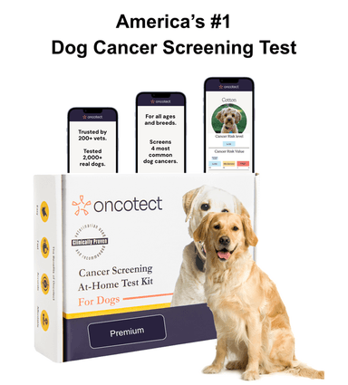 Dog Cancer Screening Test (Premium)