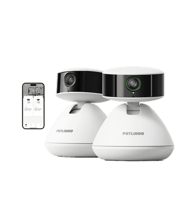 🎁 Scout Smart Camera (100% off)