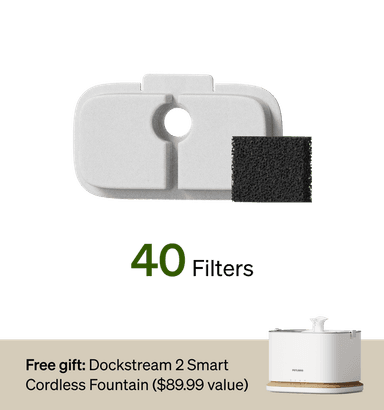 18-Month Filter & Free Fountain Combo