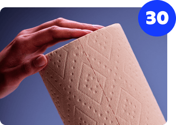 PlantPaper Towel - 30 Rolls