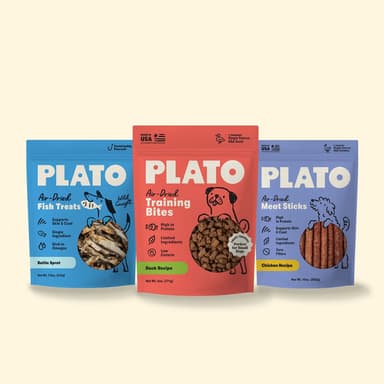 New Puppy Essentials Bundle