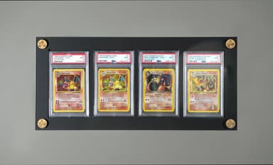 4 Slot PSA Display - UV Protected