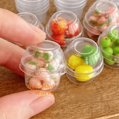 Miniature Clear Food Packaging Container