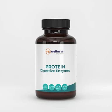 Protein Digestive Enzymes
