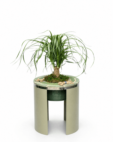 Ko Planter (Second Sundays)