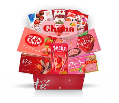 Premium Japanese Strawberry Chocolate Gift Box