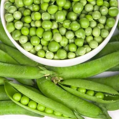Pea - Green Arrow seeds