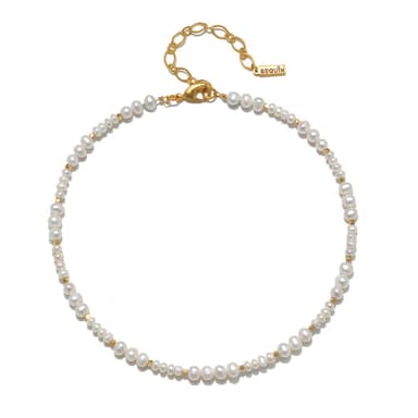 Dottie Choker Necklace