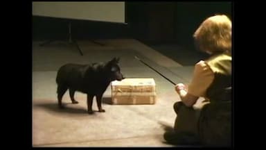 Clicker Magic - Video on Demand