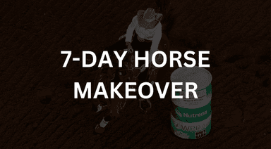 7-Day Barrel Horse Makeover